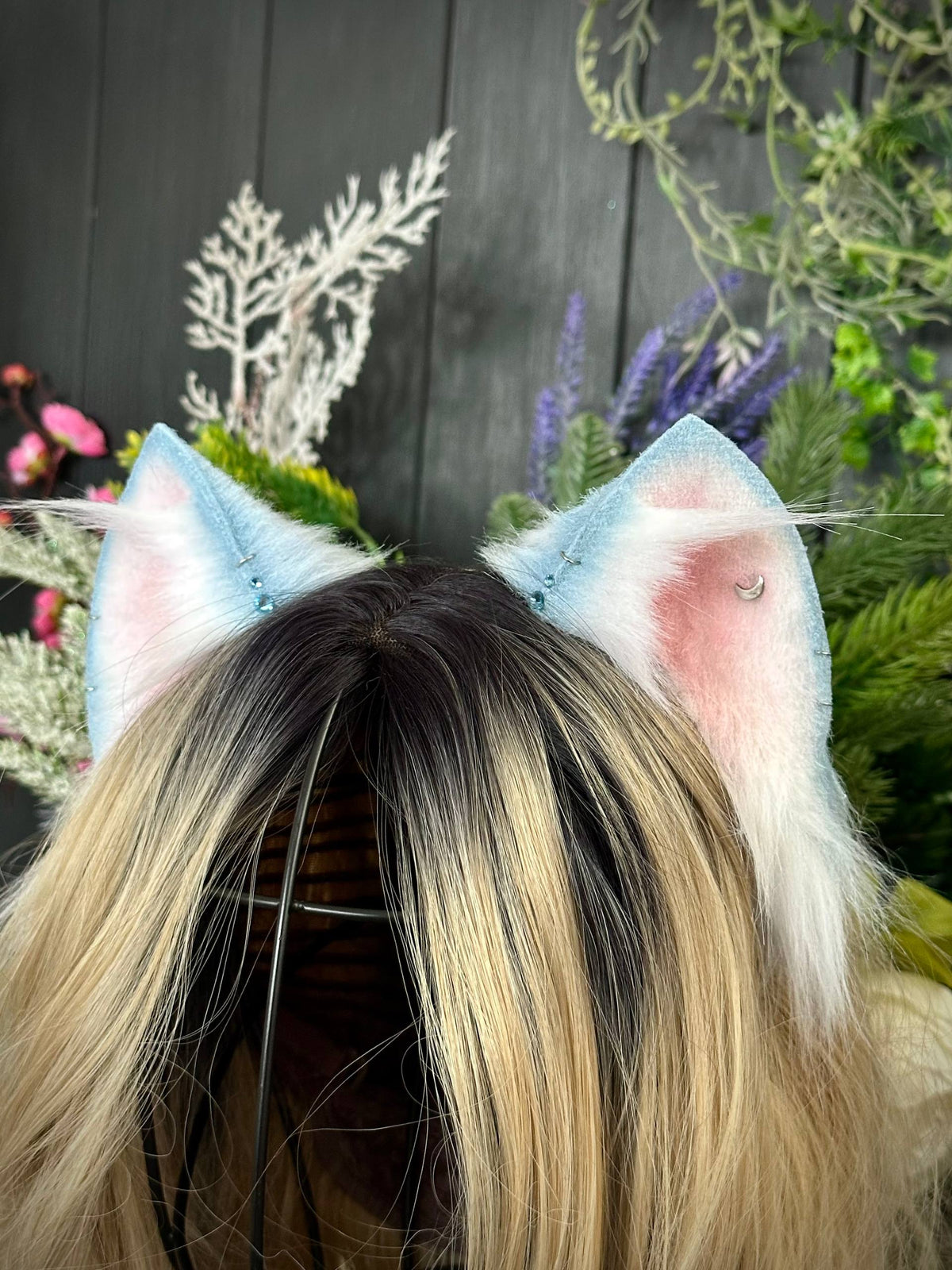 Baby blue kitten RFS