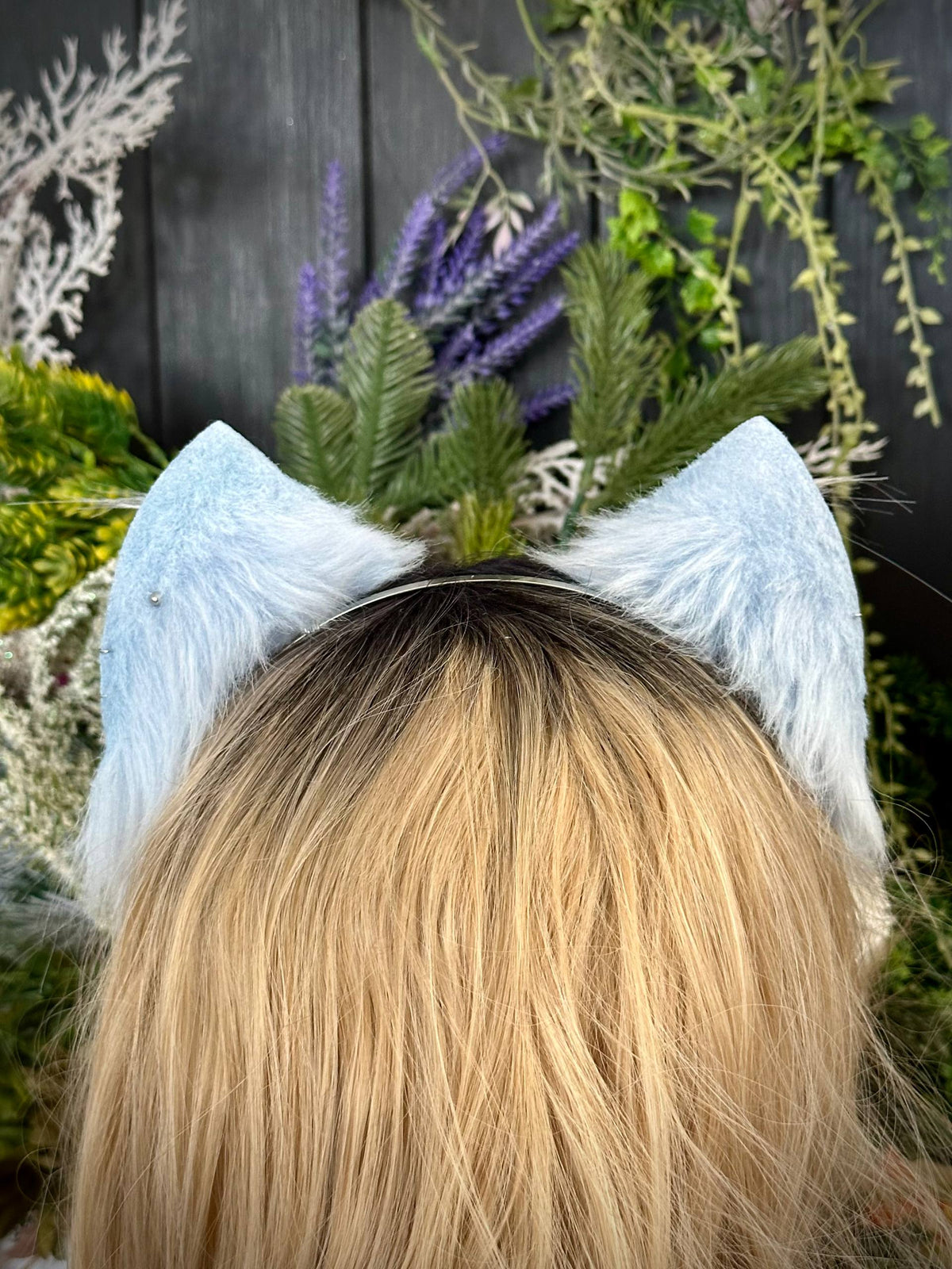 Baby blue kitten RFS