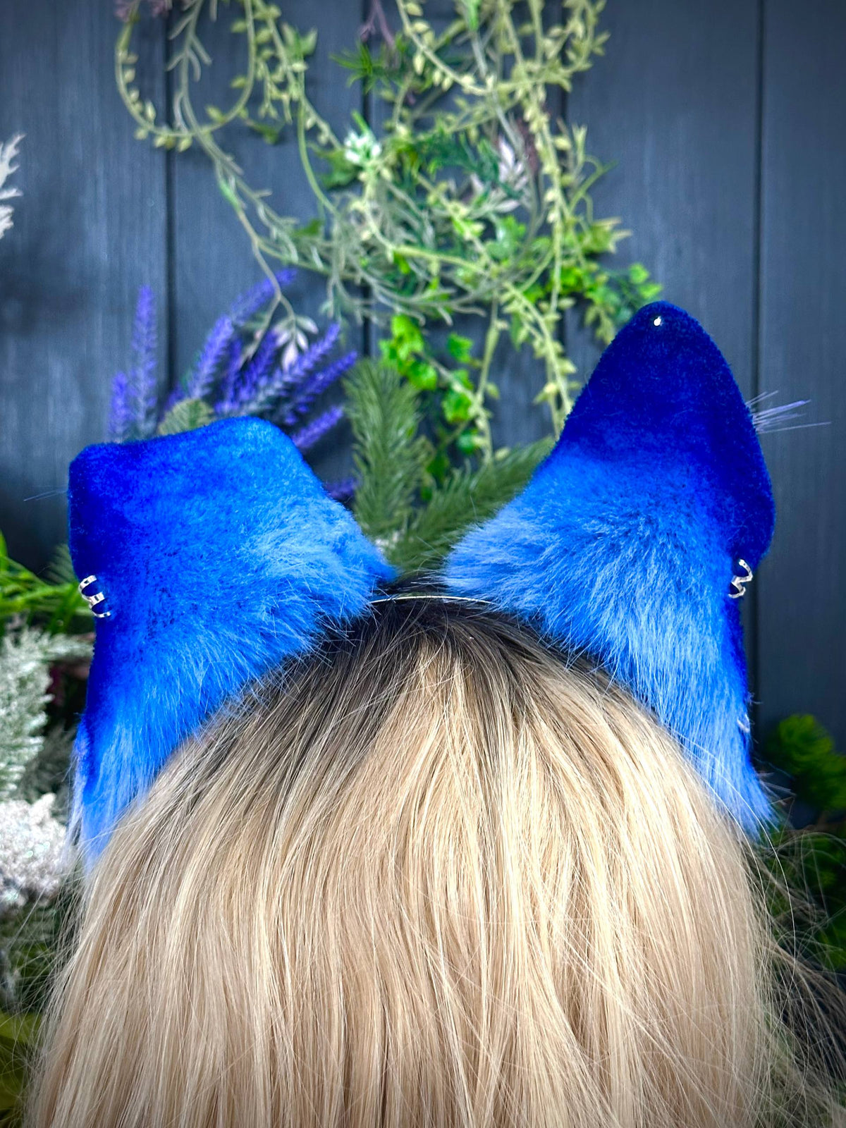 Blue puppy RFS