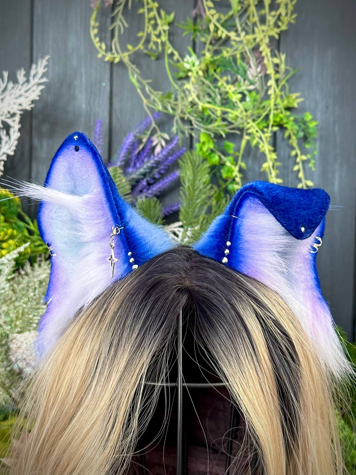 Blue puppy RFS