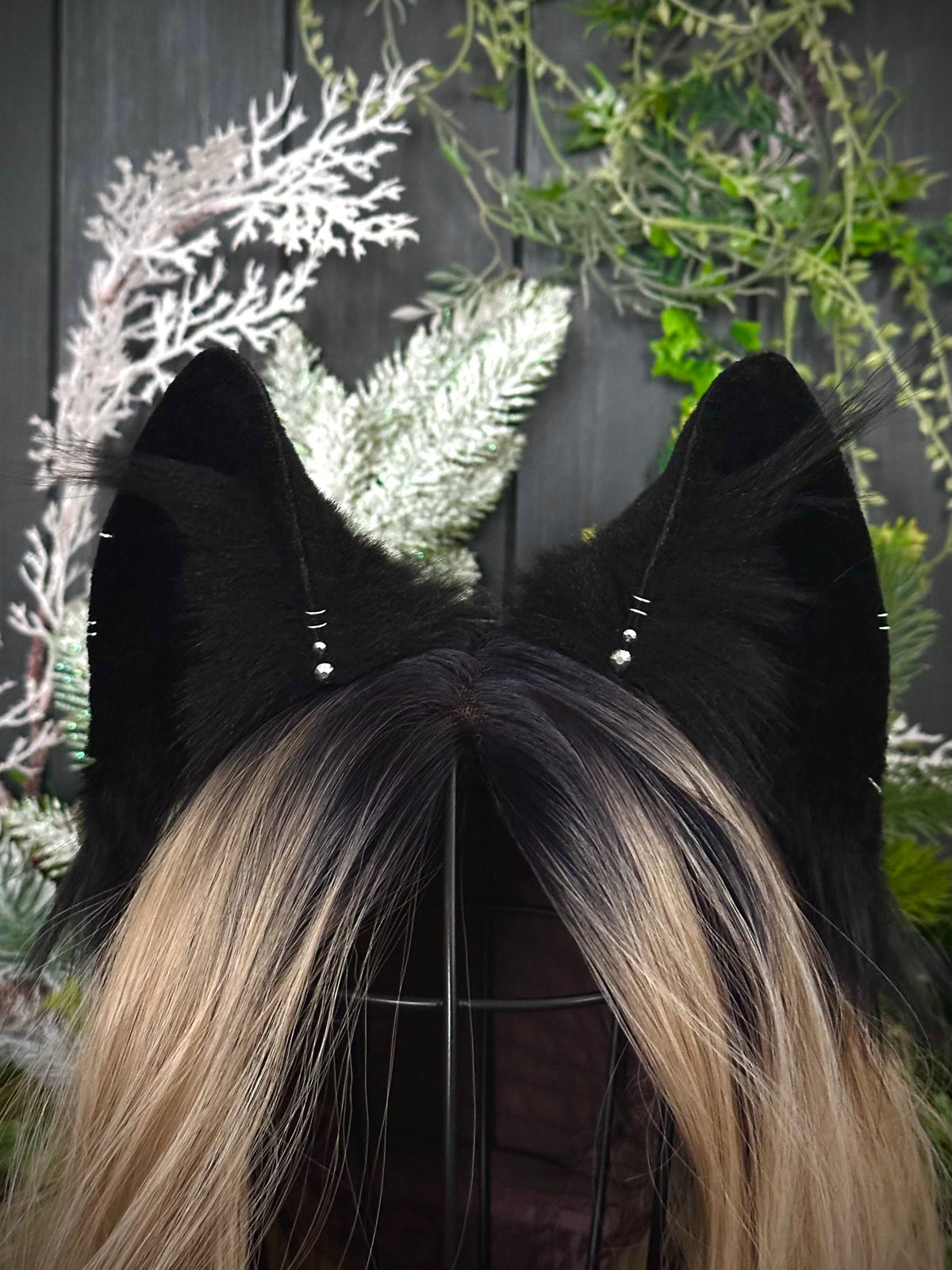 Black fox RFS