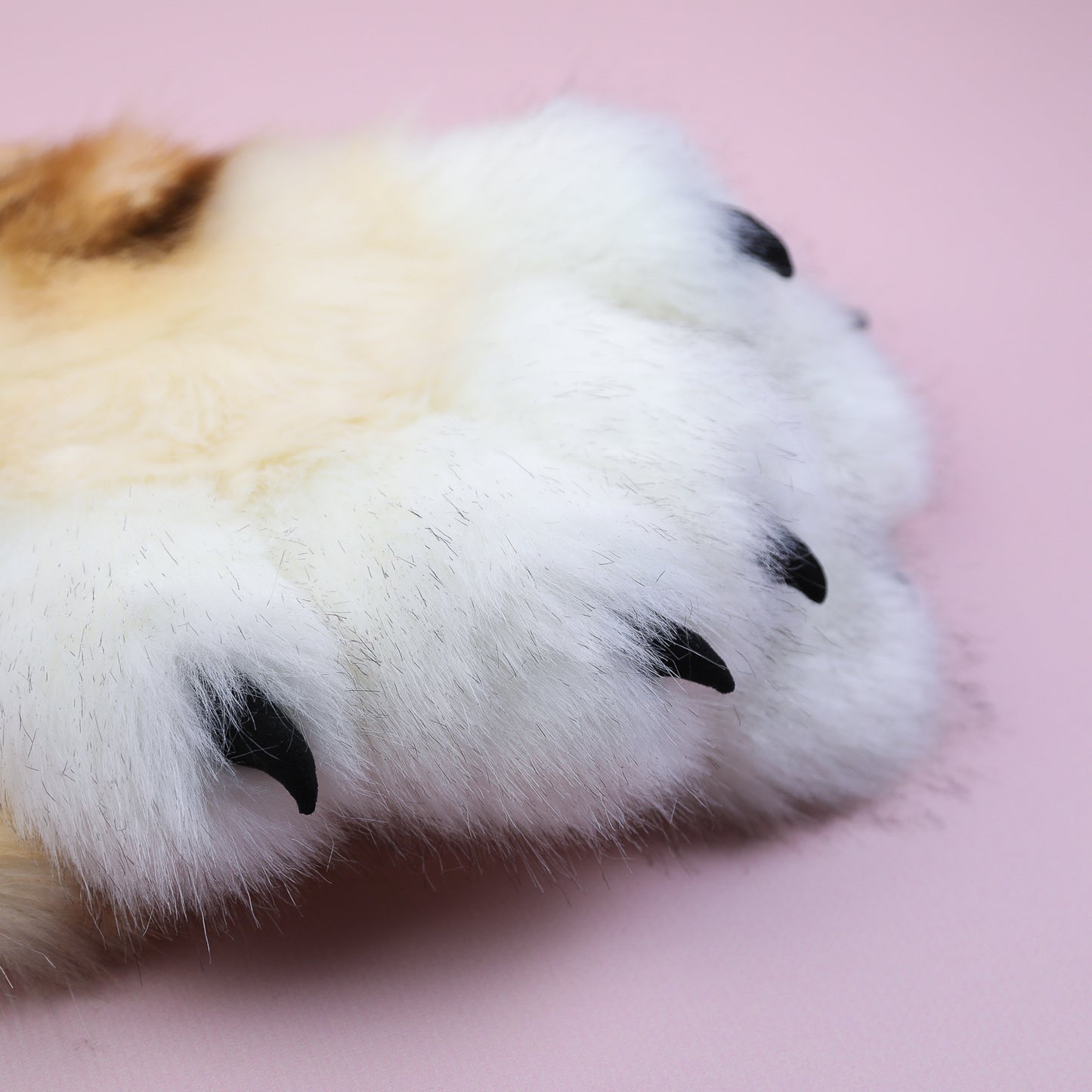 Tiger Paws Gloves