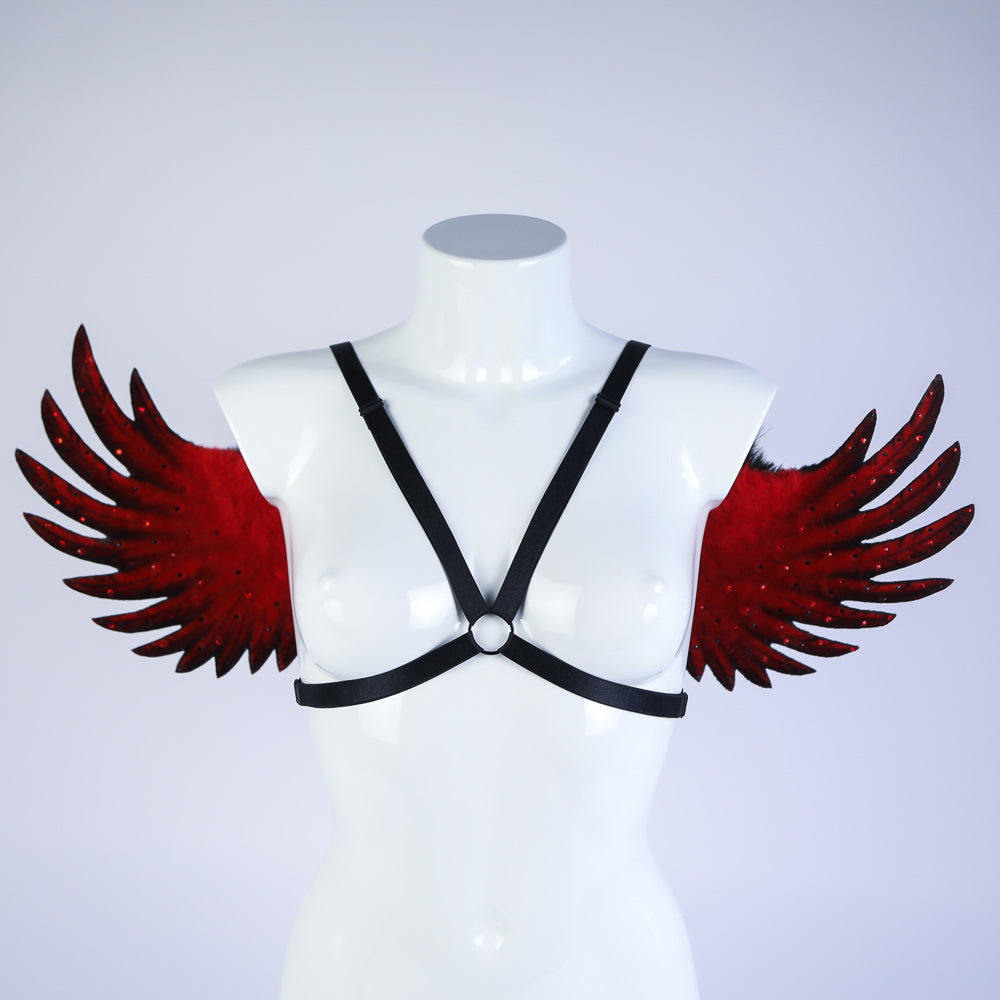 The Dark Angel Wings