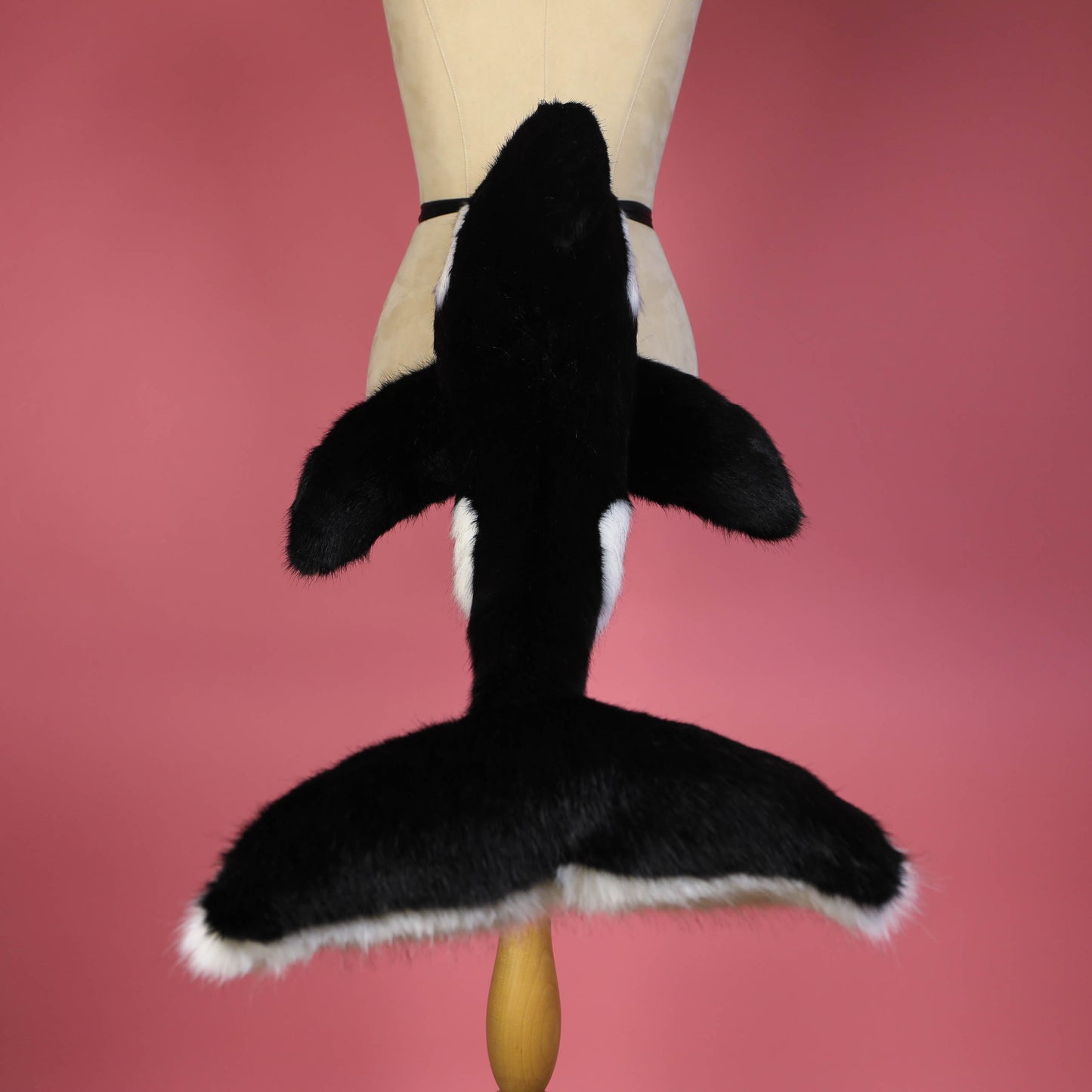 Orca Tail