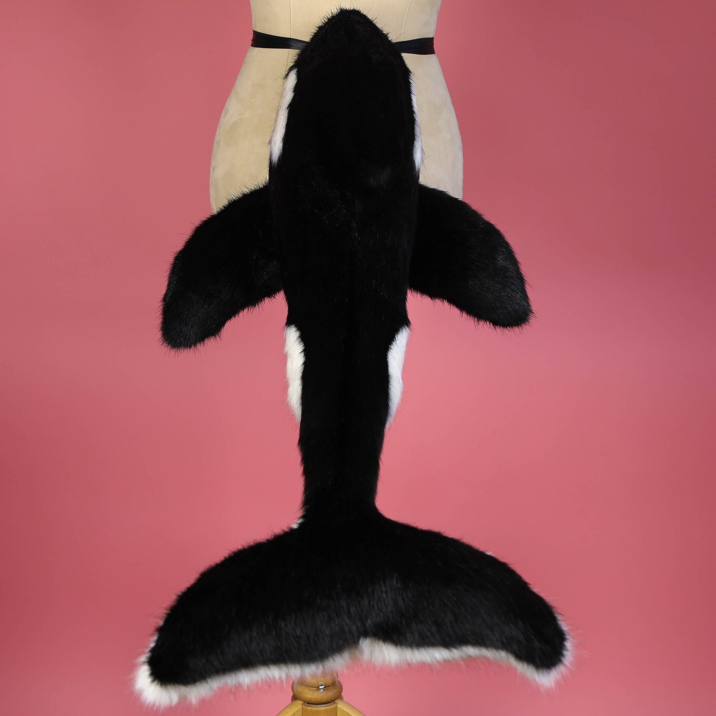 Orca Tail