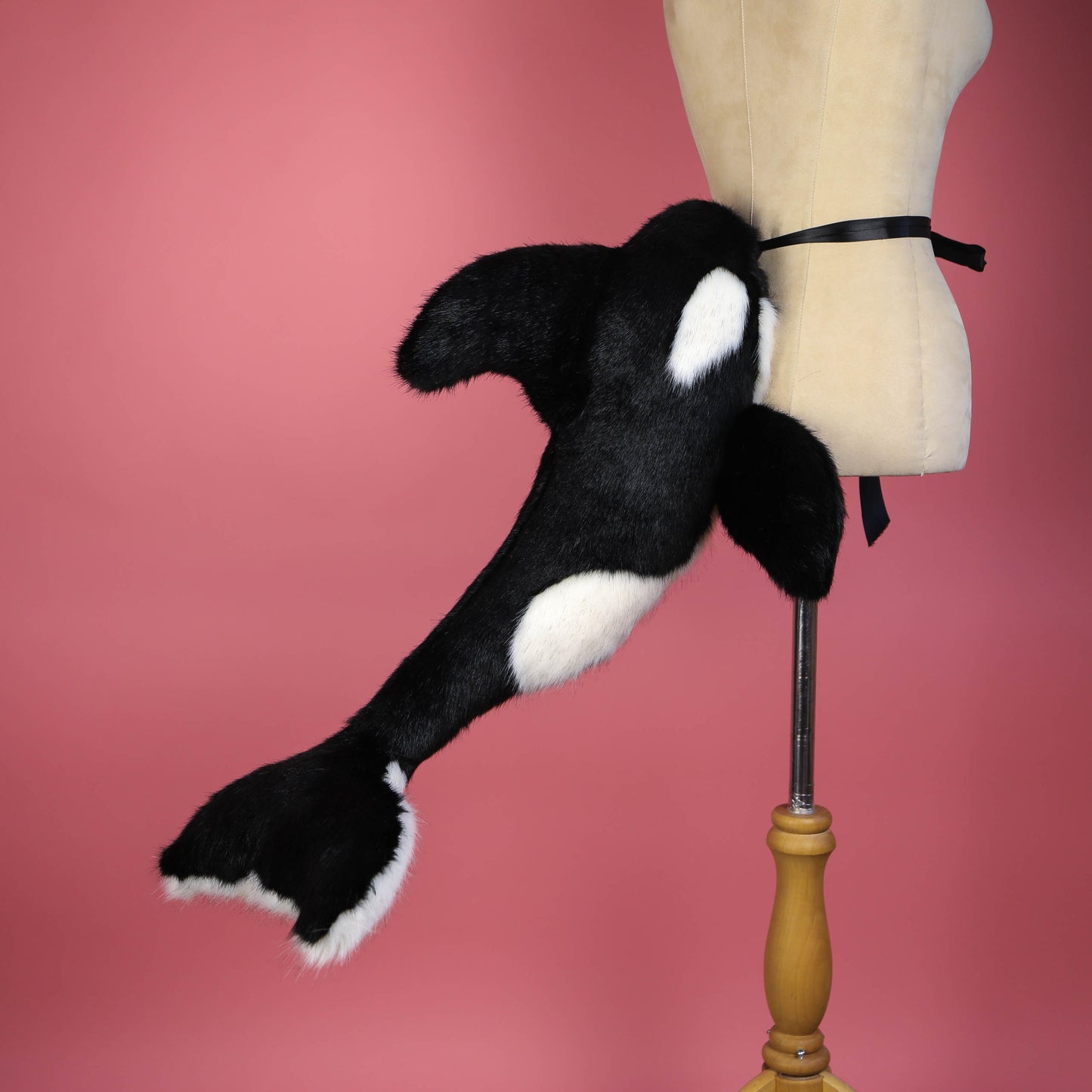 Orca Tail