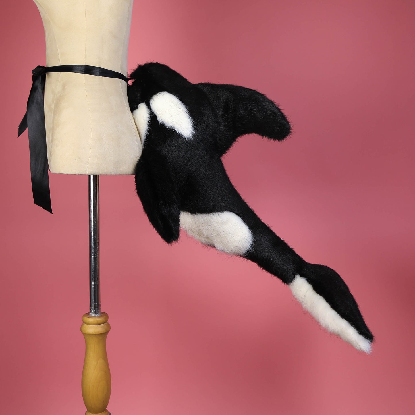 Orca Tail