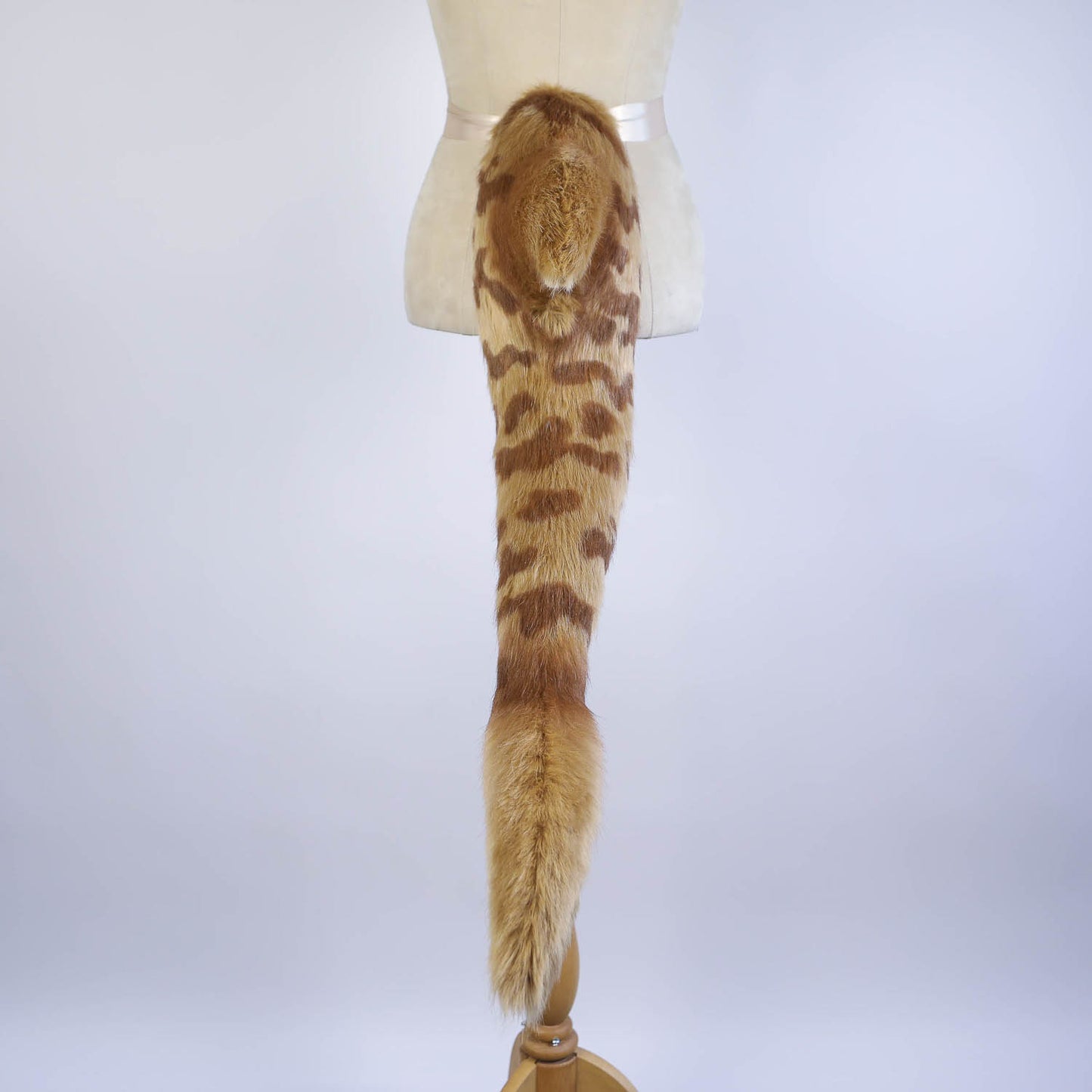 Golden Tiger Shark Ears and Tail Set