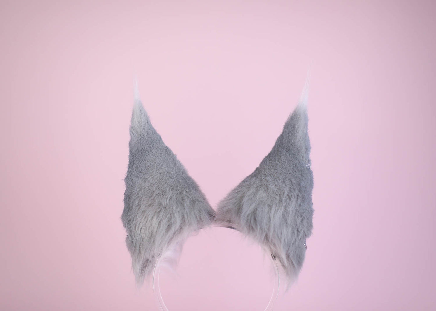 The Wolf Ears and Tail Set
