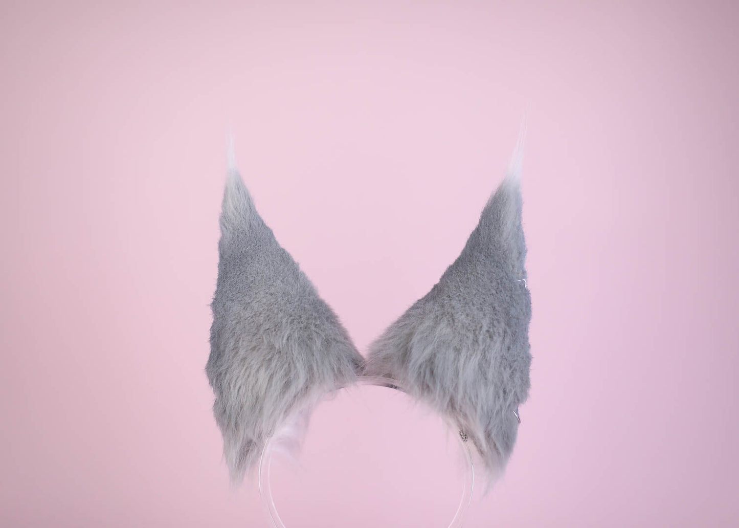 The Wolf Ears