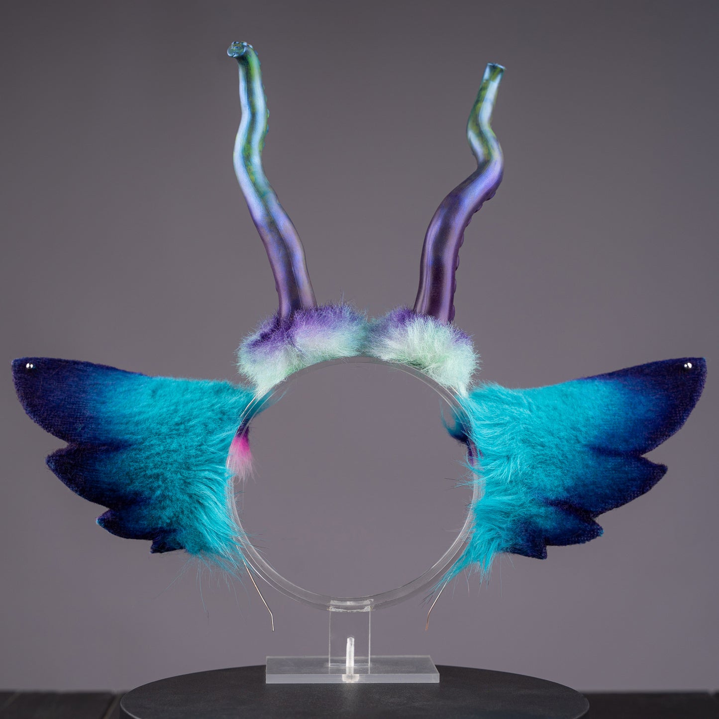 Galaxy Shrimp Ears and Tail Set