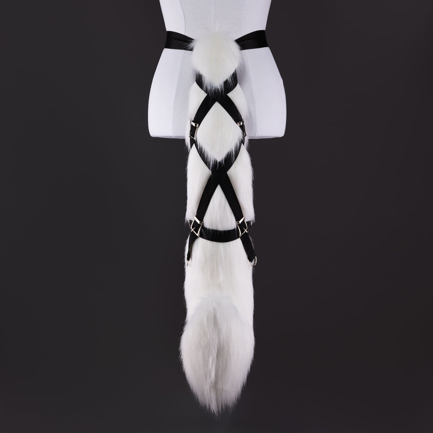 Von Lycaon Ears and Tail Set (ZZZ)