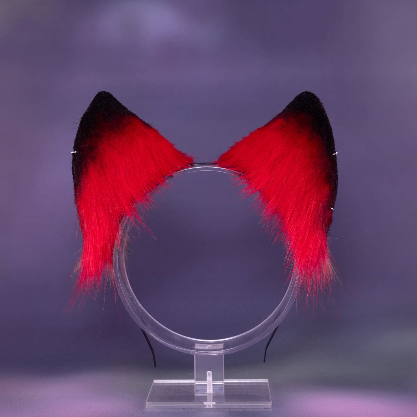 Red Fox Ears