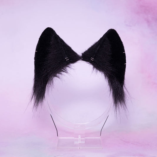 Black Fox Ears