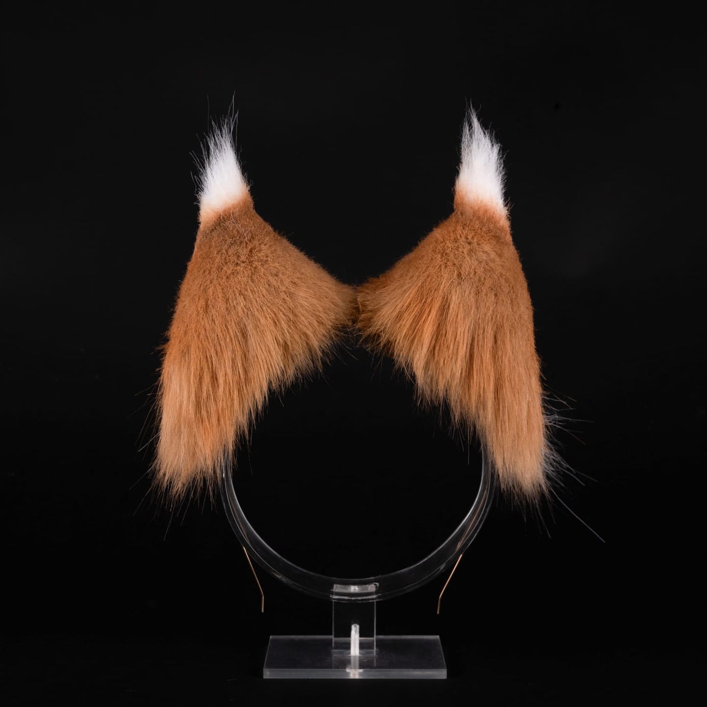 Holo Ears RFS