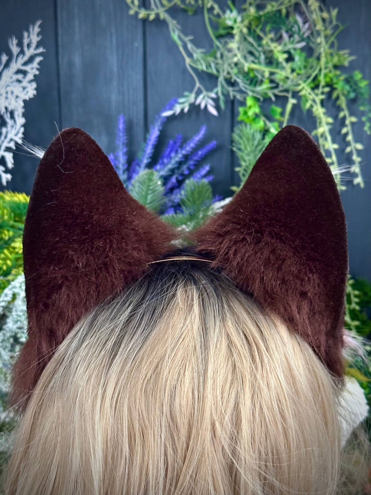 Spotted brown fox RFS