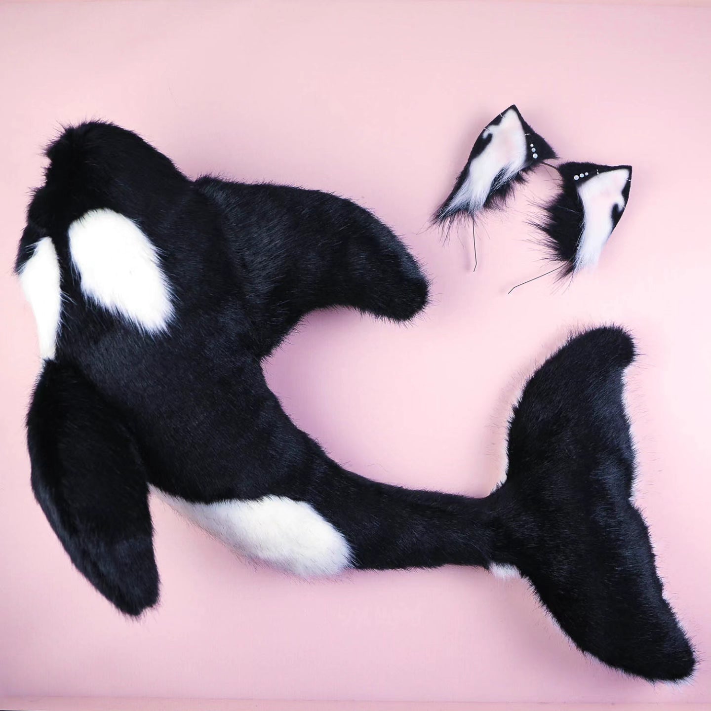 Orca Kitten Ears and Tail Set