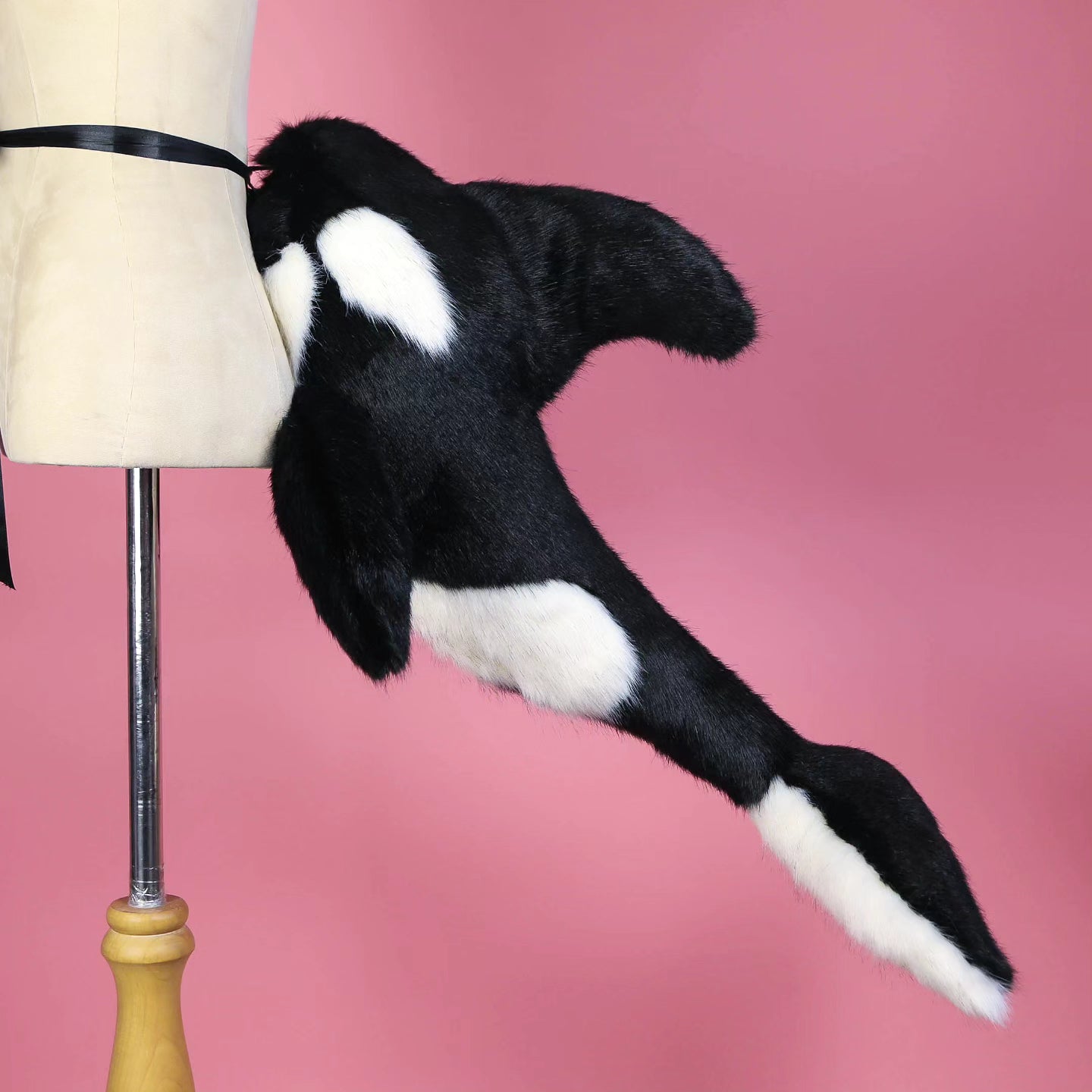 Orca Kitten Ears and Tail Set