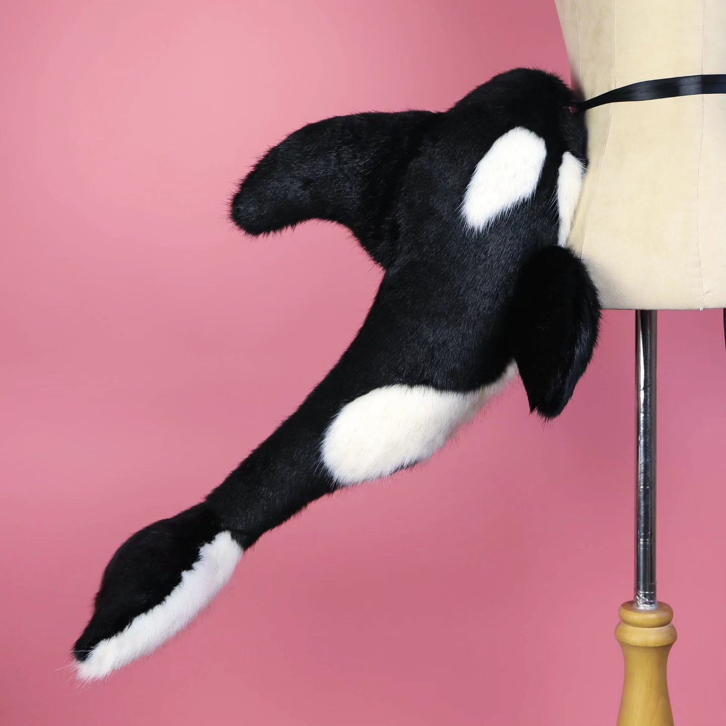 Orca Kitten Ears and Tail Set