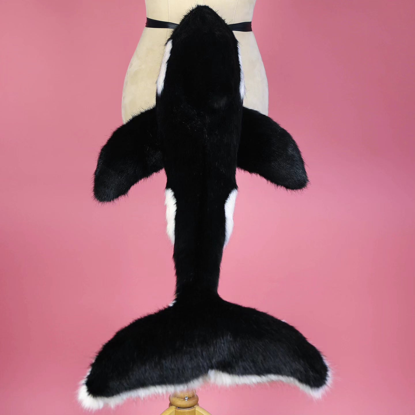 Orca Kitten Ears and Tail Set