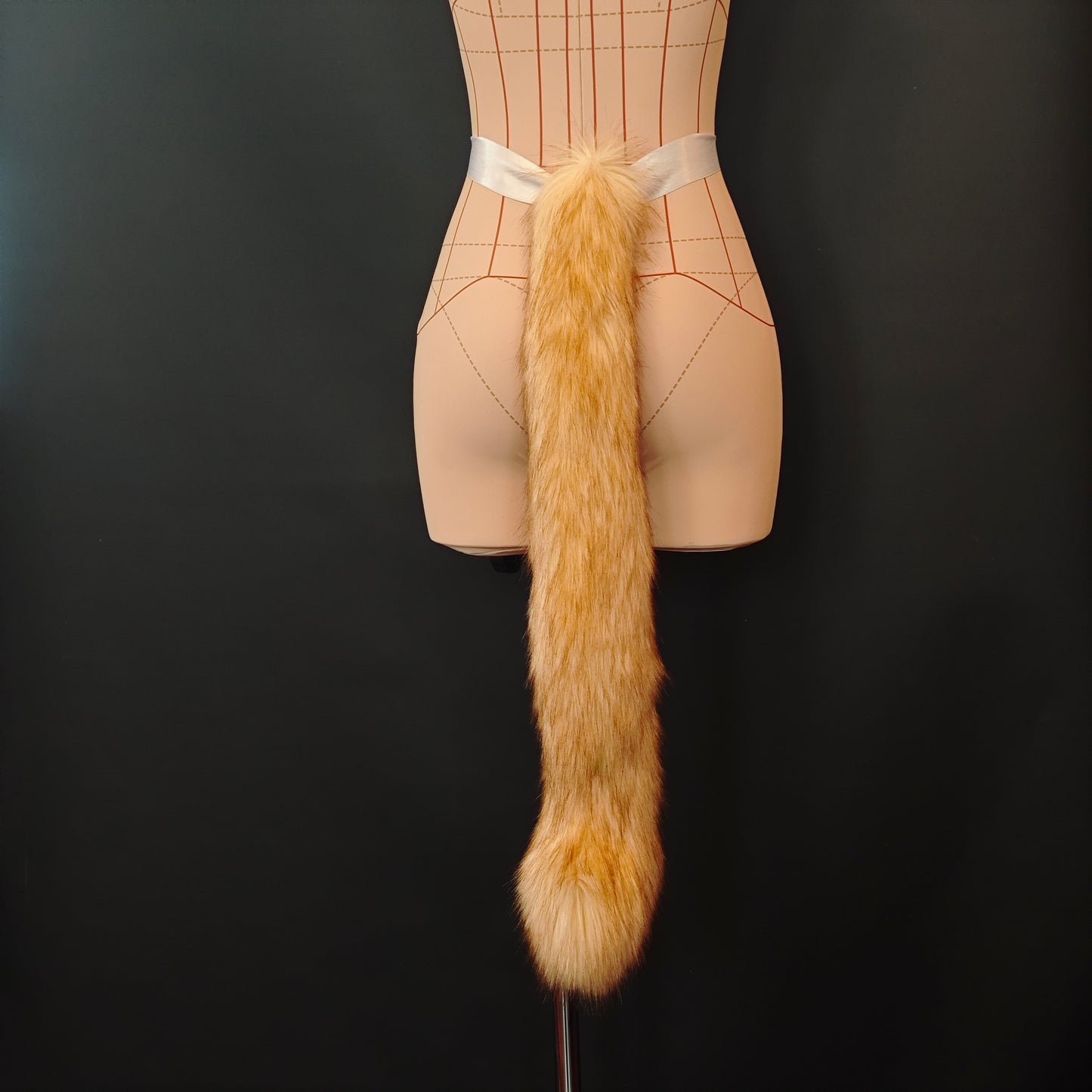 Ginger Cat Tail RFS