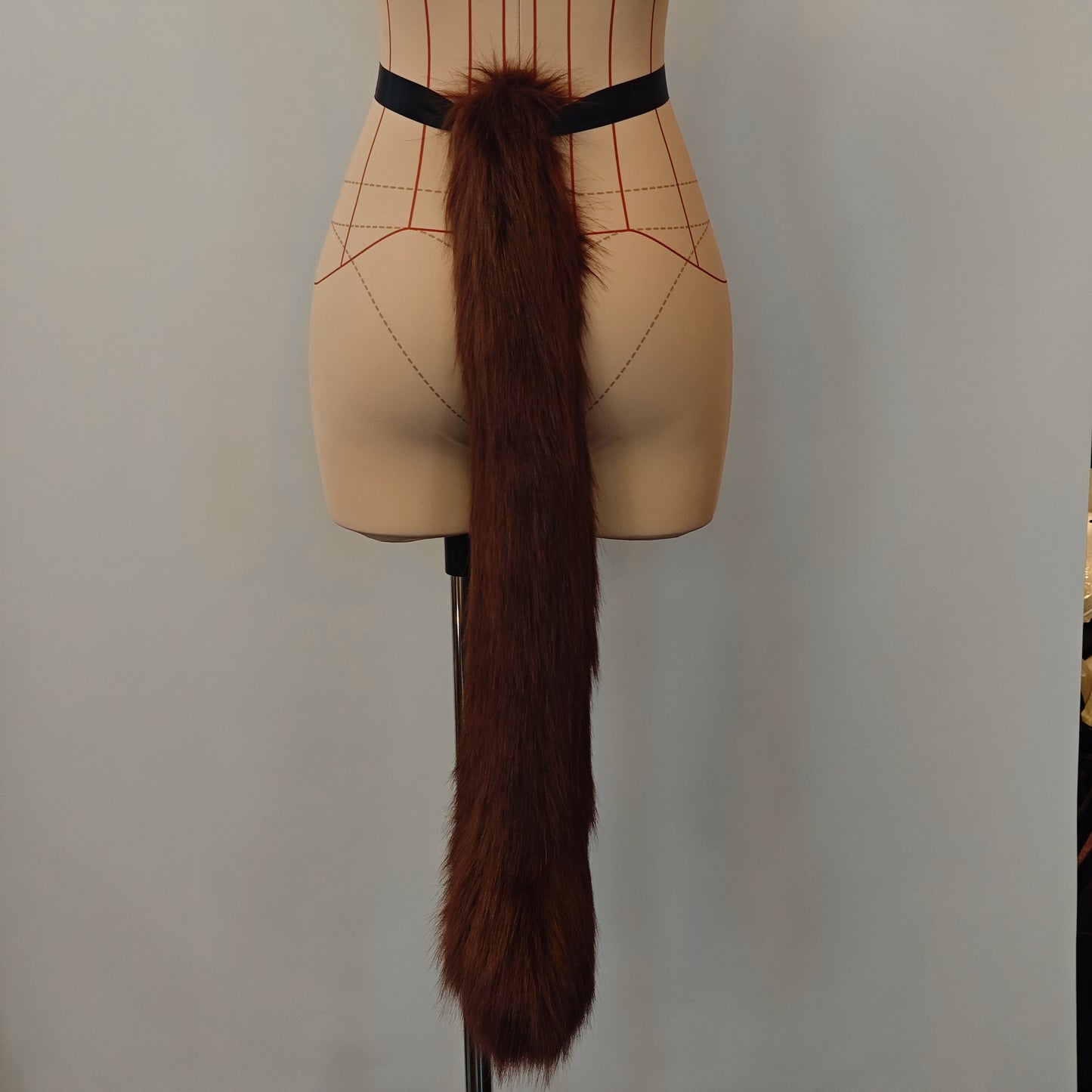 Brown Cat Tail RFS