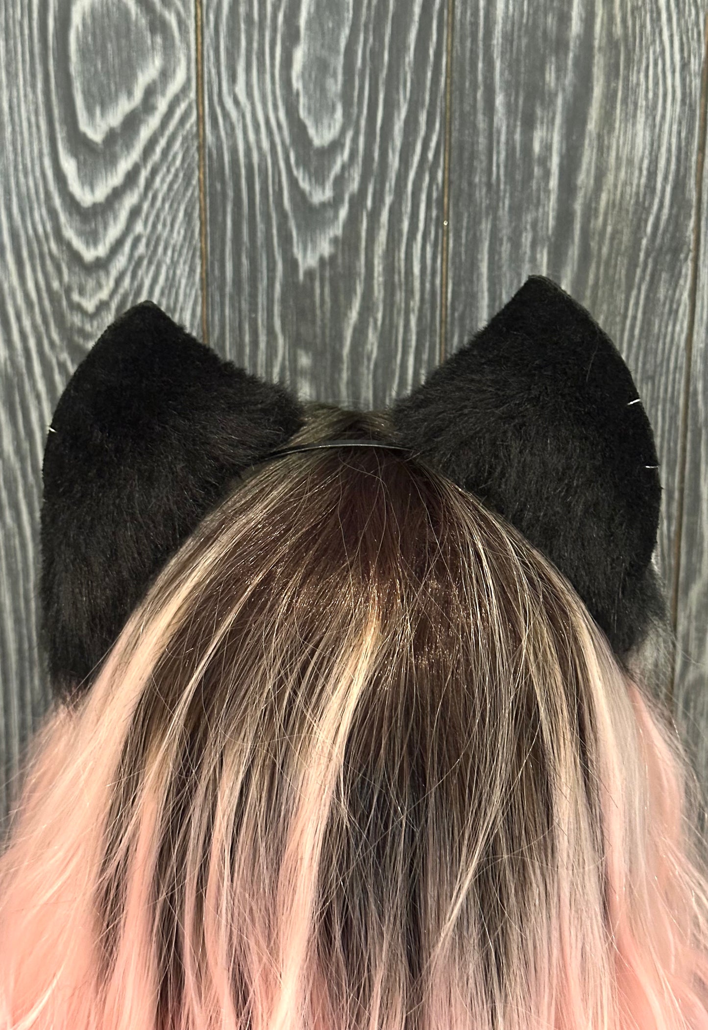 Black Kitten Ears RFS