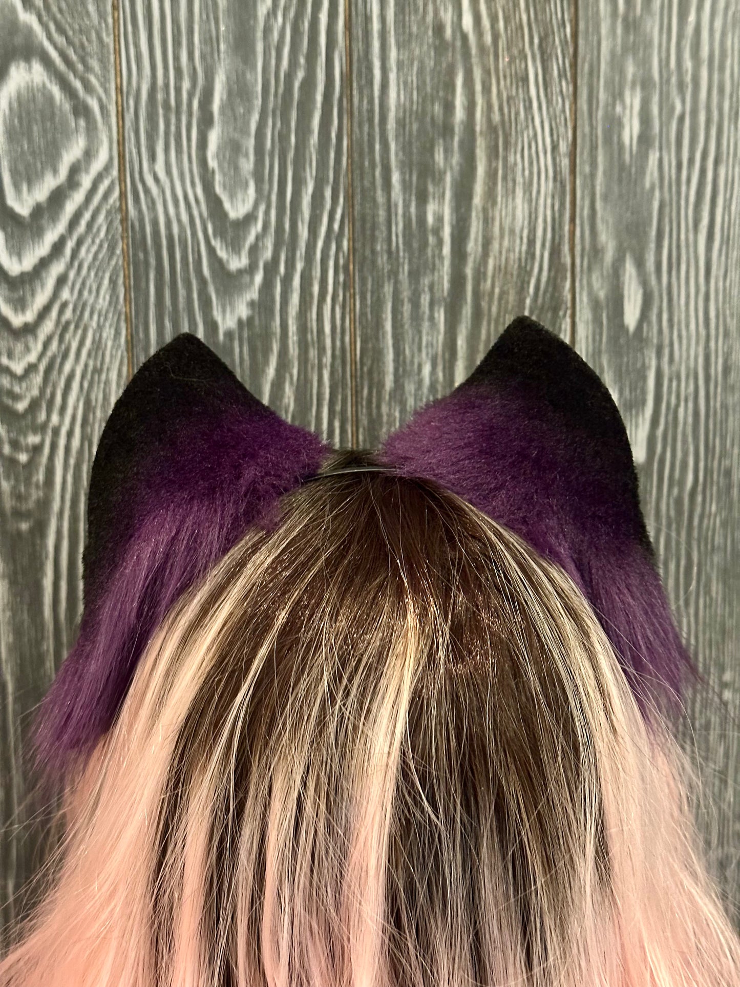 Purple Kitten Ears RFS