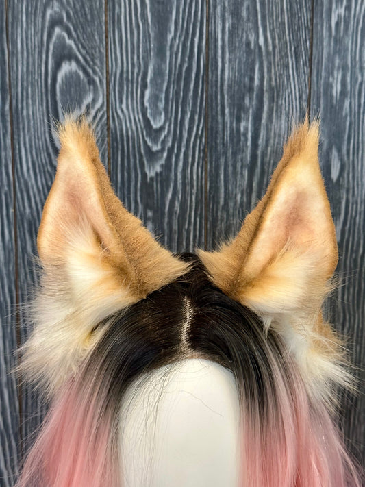 Maine Coon Ears RFS