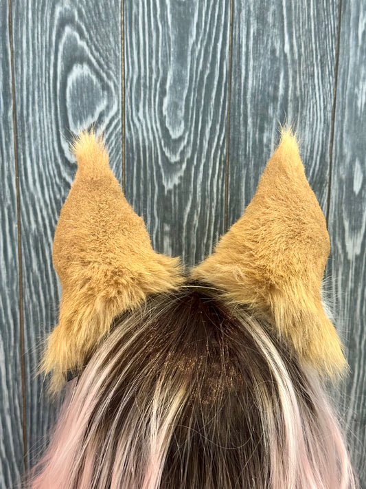 Maine Coon Ears RFS
