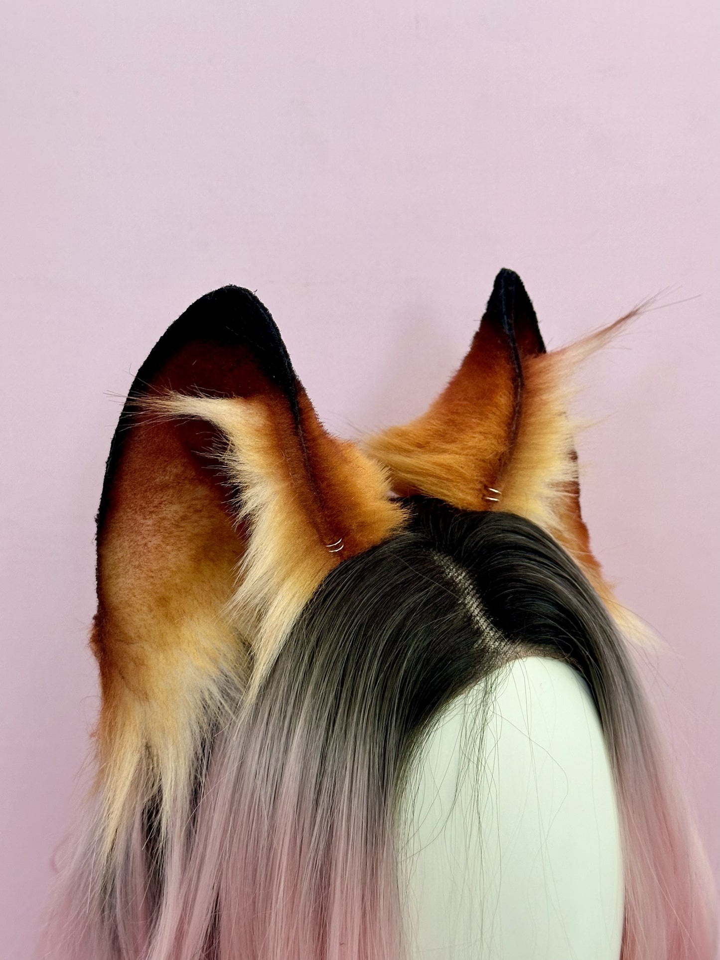 Ginger Fox Ears RFS