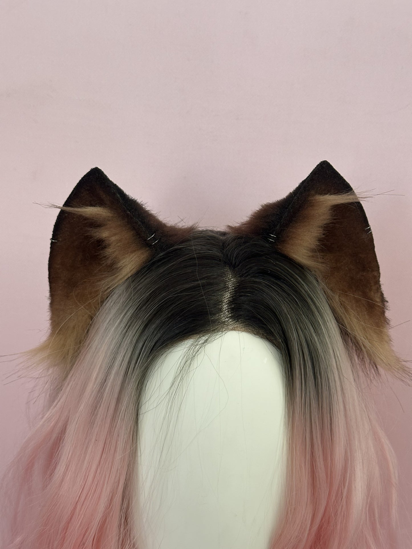 Brown Kitten Ears RFS