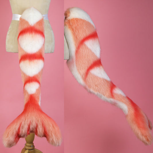 Shrimp Kitten Tail