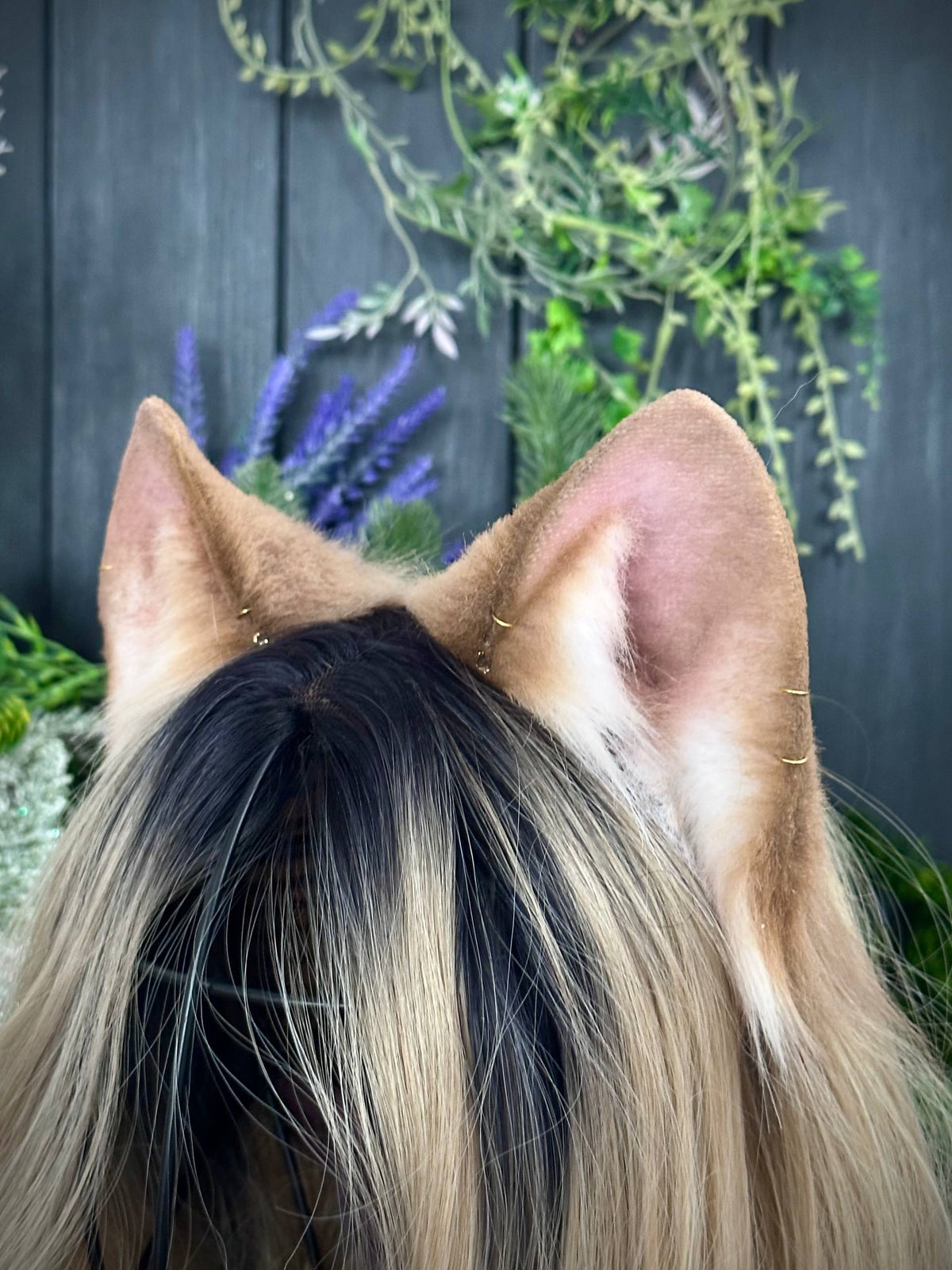 Blonde fox kit RFS