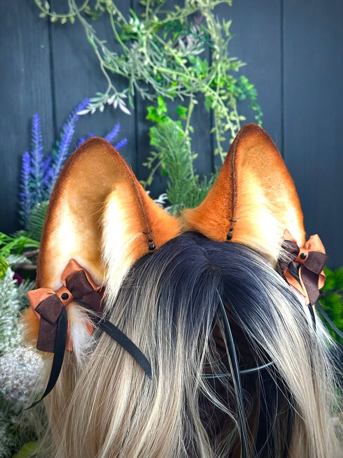 Ginger fox RFS