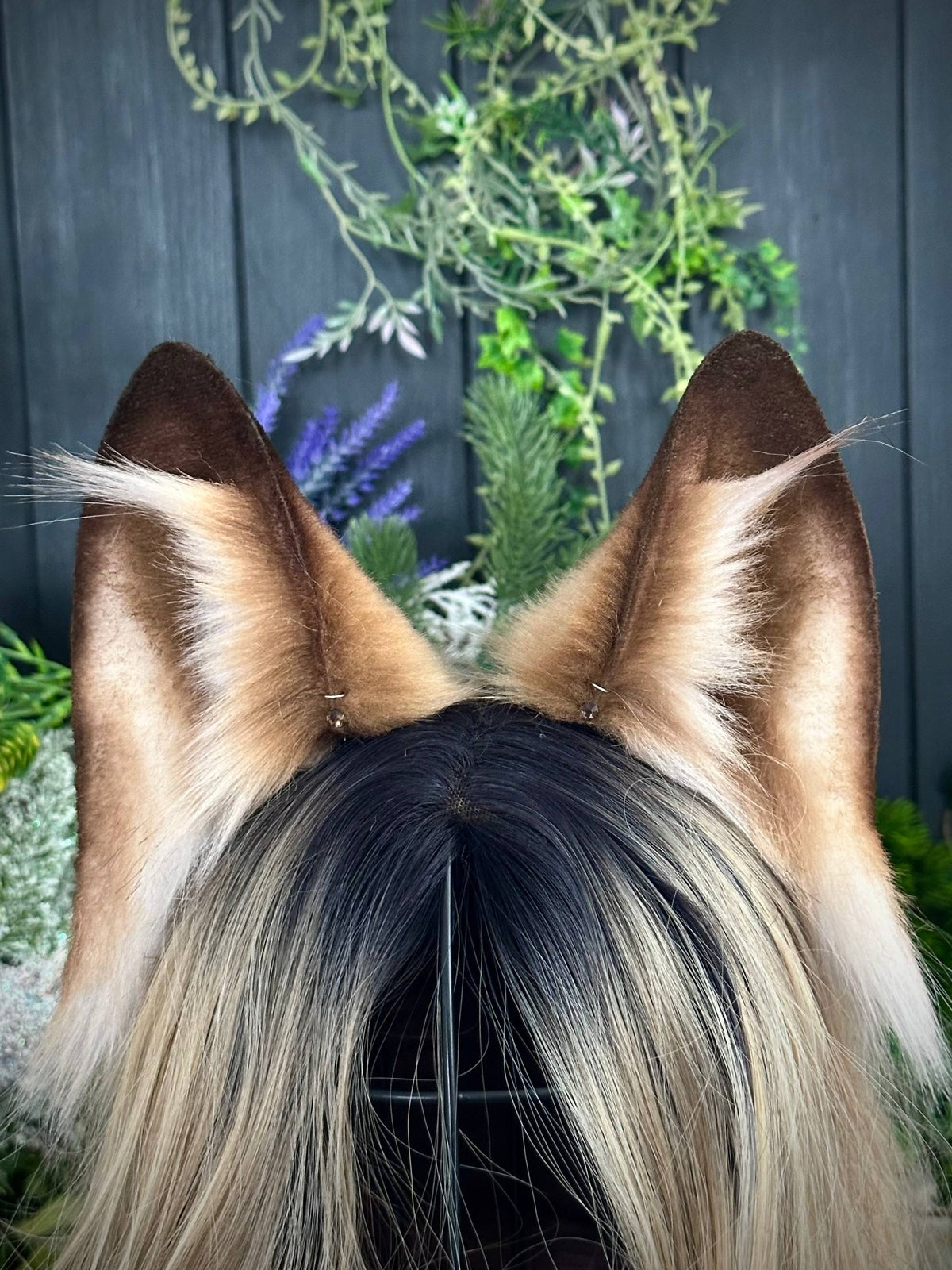 Light brown fox