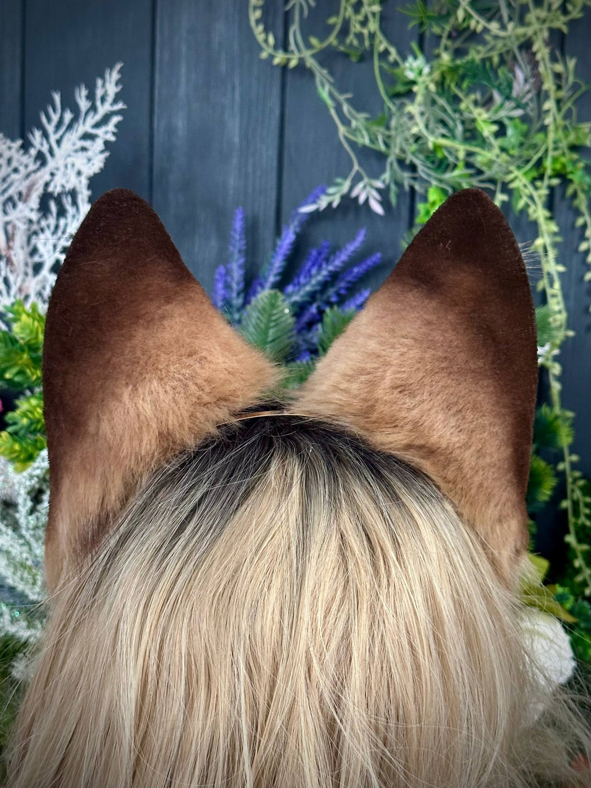 Light brown fox