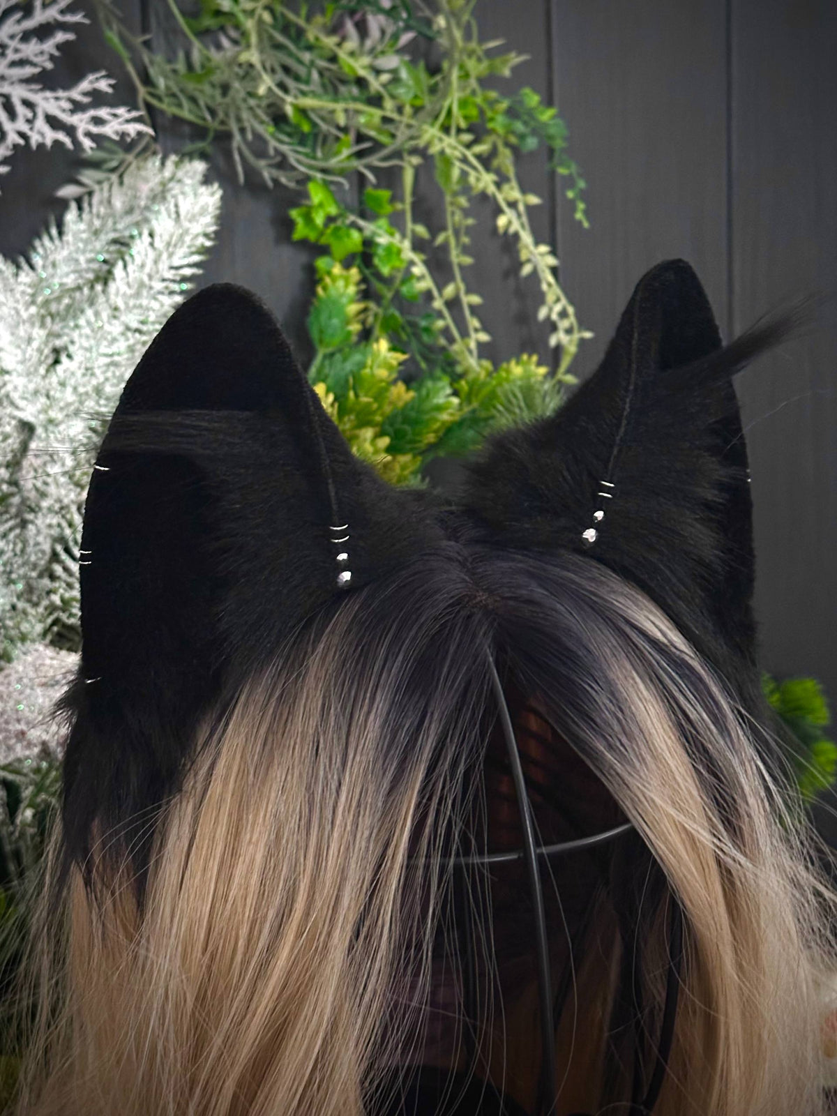 Black fox RFS