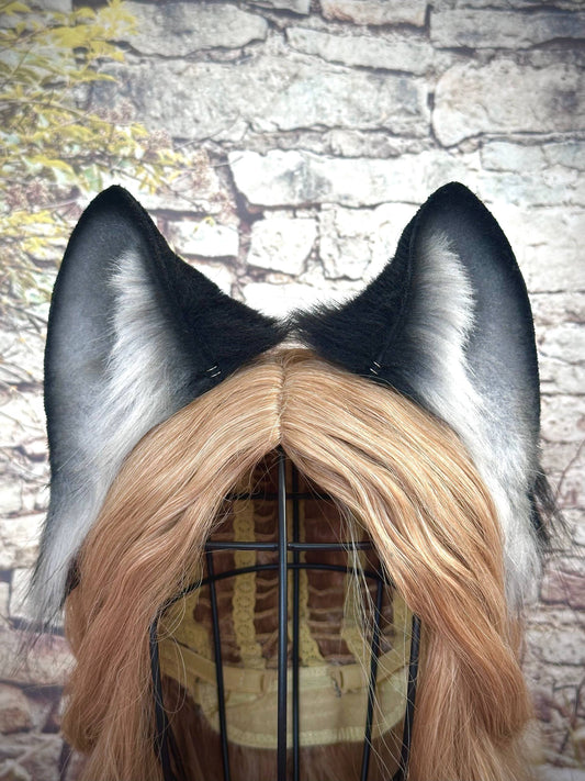 Black Fox Ears RFS