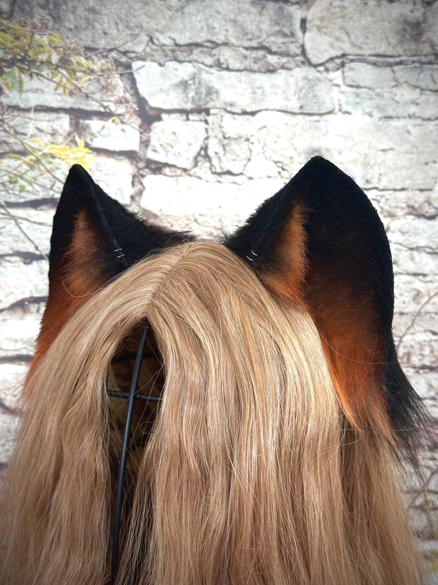 Brown Kitten Ears RFS