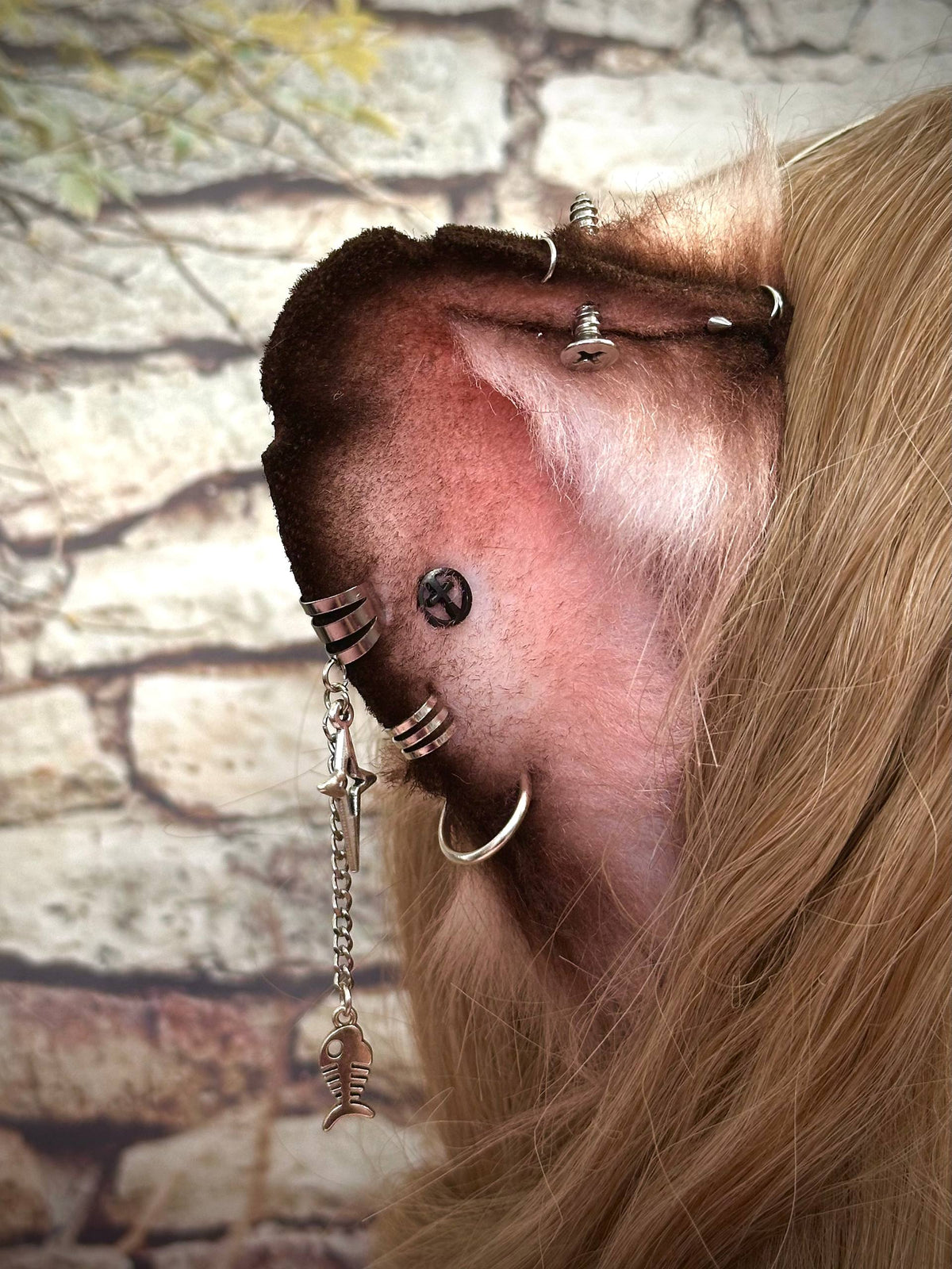 Ratty Ears RFS