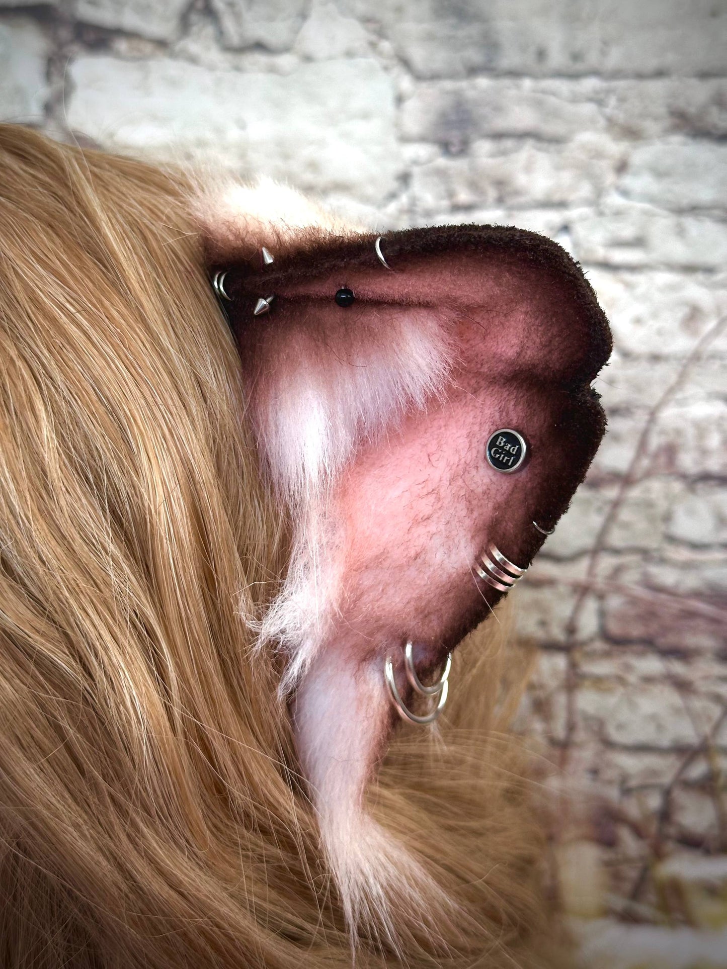 Ratty Ears RFS