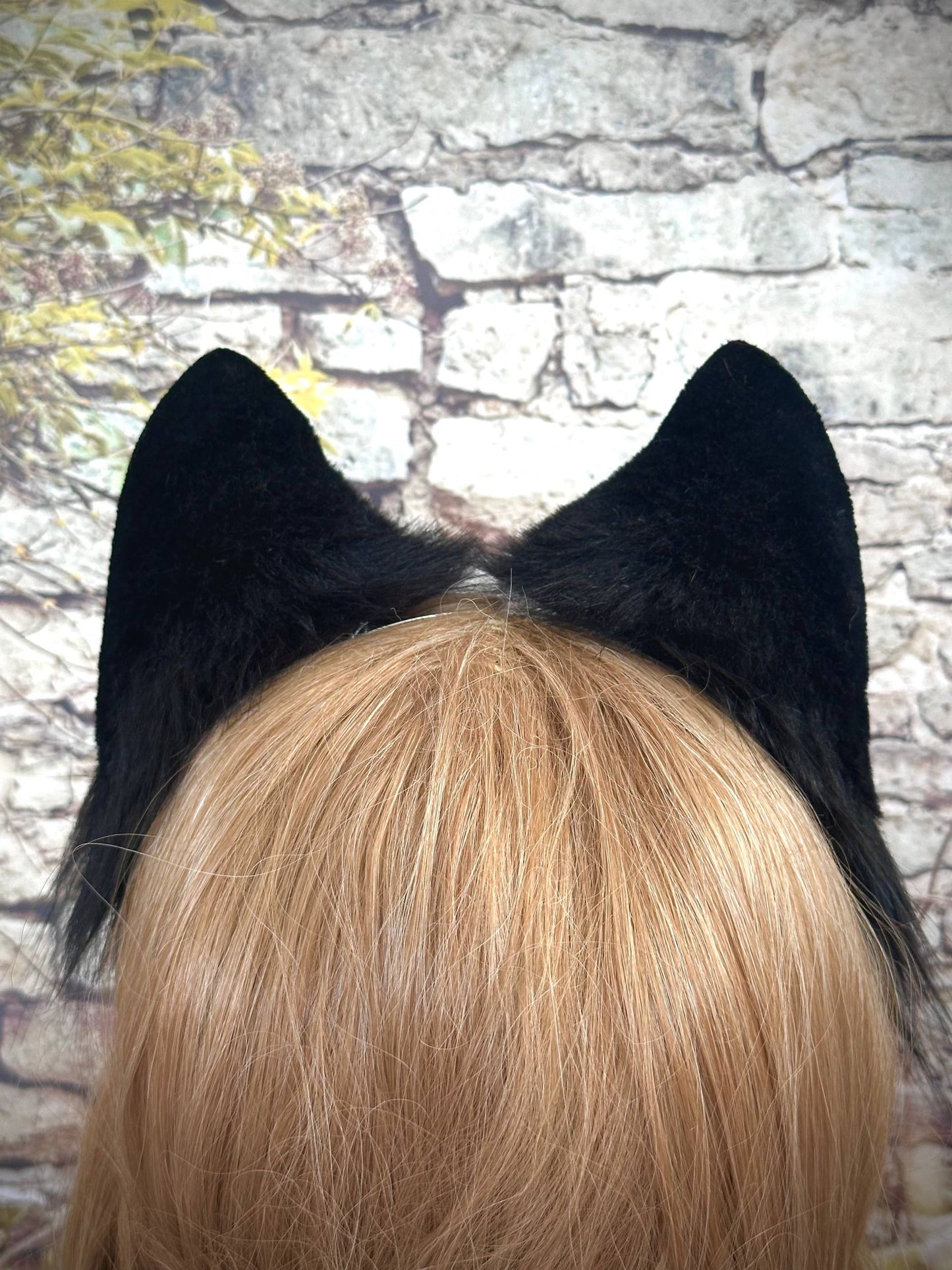 Black Fox Ears RFS