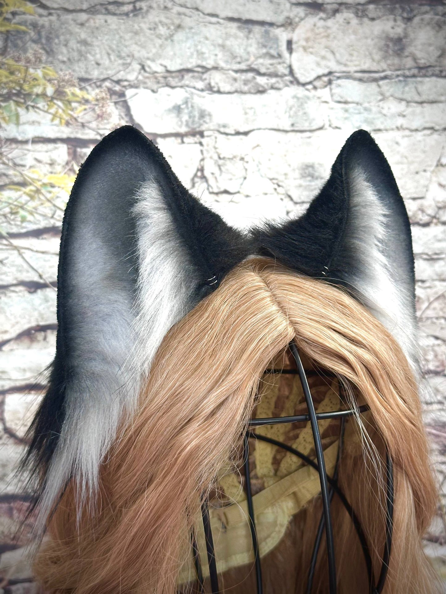 Black Fox Ears RFS