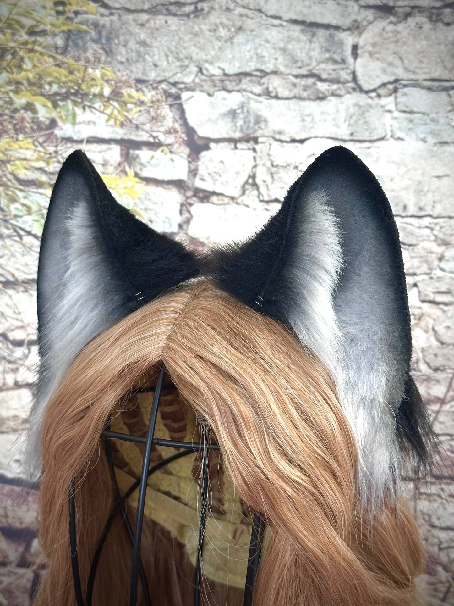 Black Fox Ears RFS