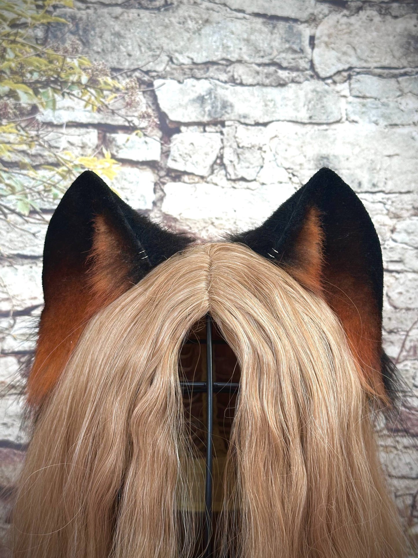 Brown Kitten Ears RFS
