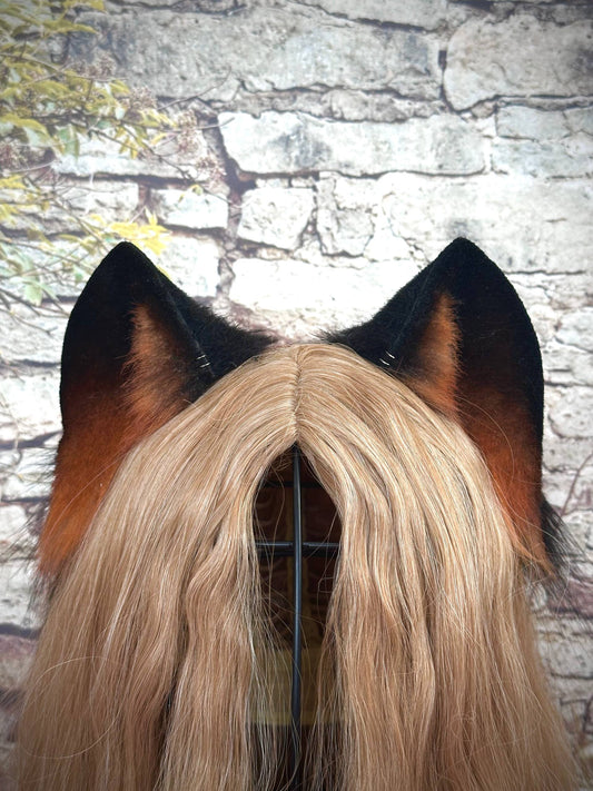 Brown Kitten Ears RFS