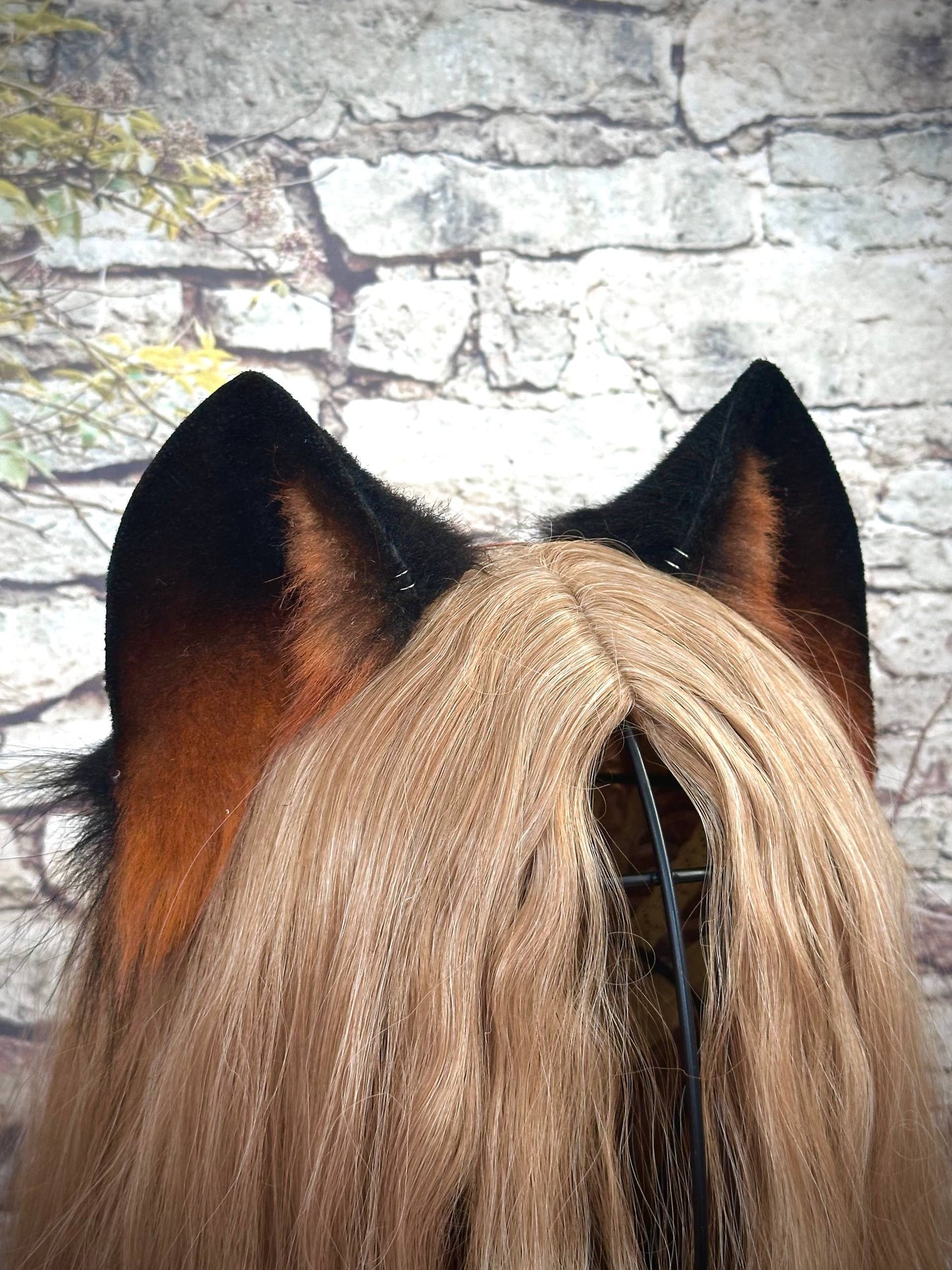 Brown Kitten Ears RFS