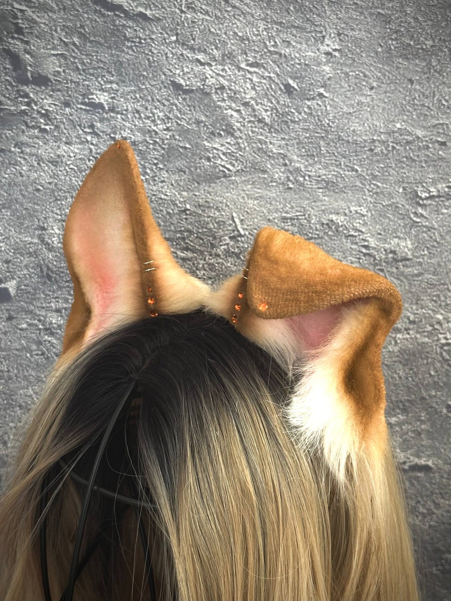 Blonde Puppy Ears RFS