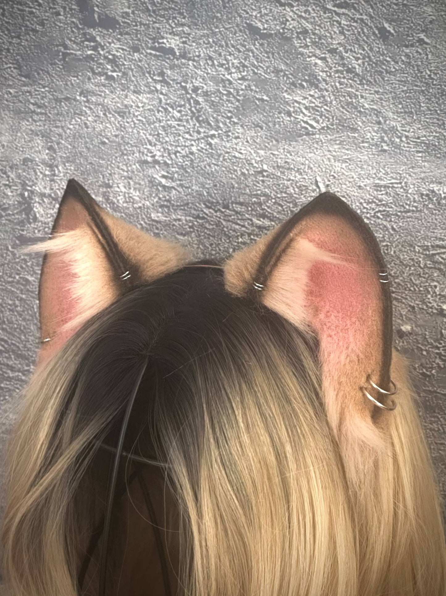 Caramel Kitten RFS